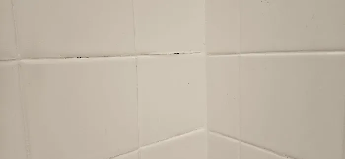 AP Refinishing Services Inc Picture 10