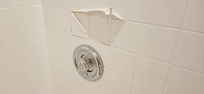 AP Refinishing Services Inc Picture 3