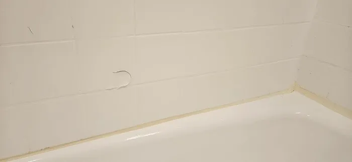 AP Refinishing Services Inc Picture 5