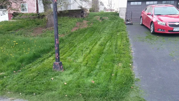 Perma Ceram of Albany LLC Picture 2