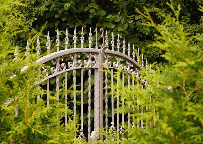 Vegas Valley Ironworks, Iron Gates, Metal Fences, Welder Picture 8