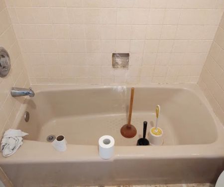 The Tropical Tub Doctor