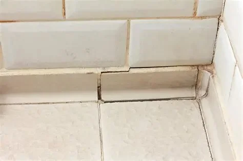 The Hidden Dangers of Ignoring Cracked Shower Tiles: Why Timely Repairs Matter