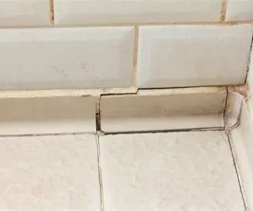 The Hidden Dangers of Ignoring Cracked Shower Tiles: Why Timely Repairs Matter