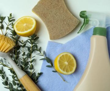 The Importance of Choosing Non-Toxic Refinishing Products for Indoor Air Quality