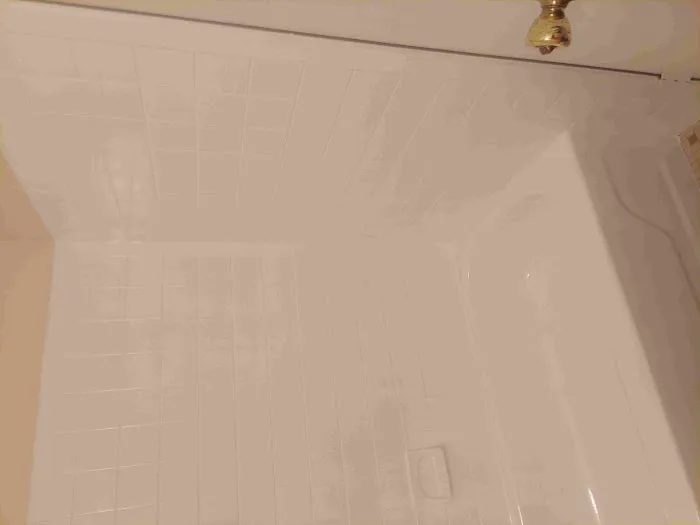 Good Work Construction Corp (Refinishing division) Picture 10