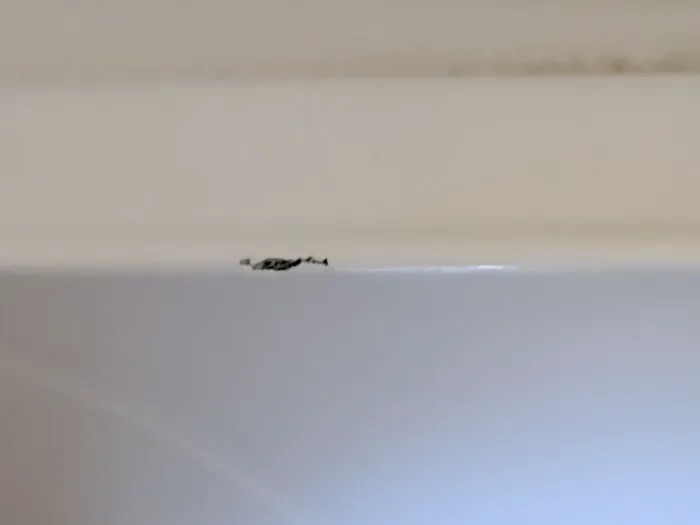 Northeast Tub Repairs Picture 4