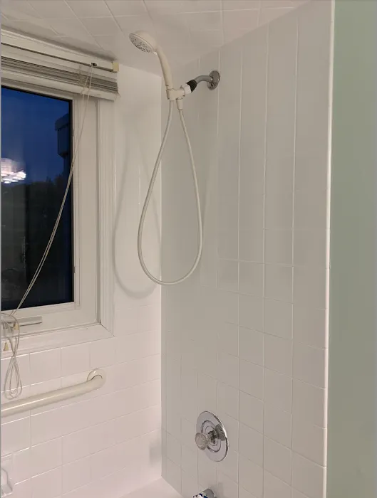 LifeTime Home Services - Reglazing Picture 5