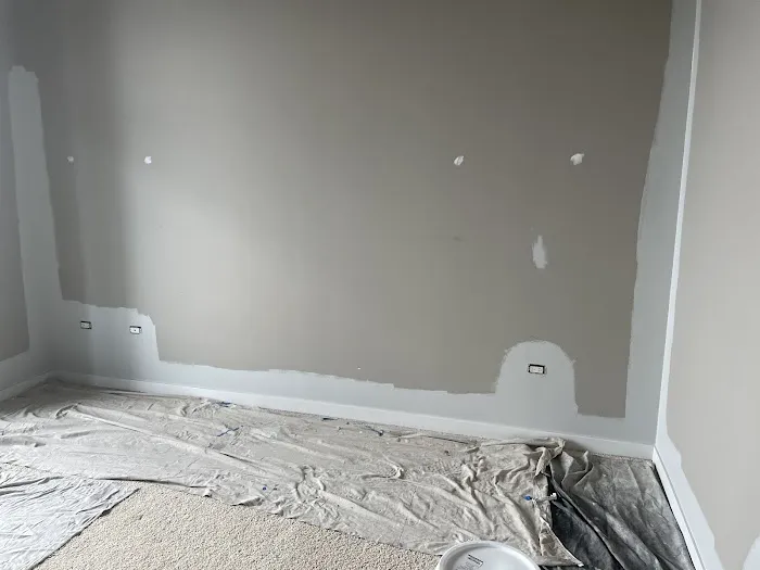 Pro Chicago Painters Picture 2