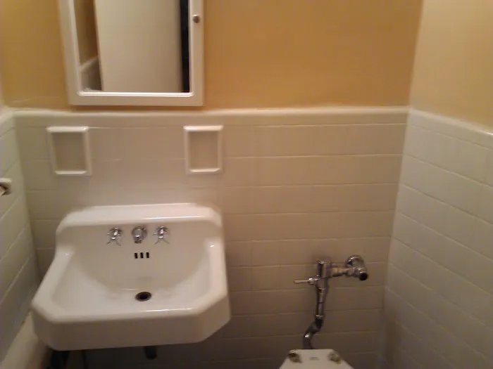 Tub Glazer Picture 2
