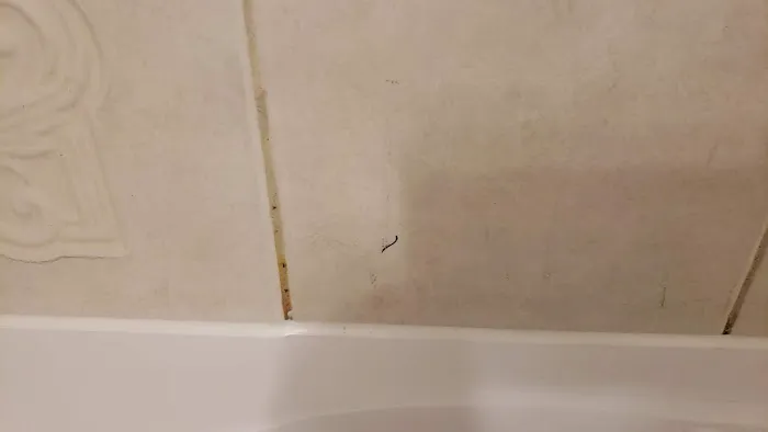 Bath Fitter Picture 1