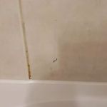 Bath Fitter