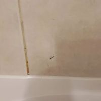 Bath Fitter ico
