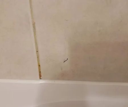 Bath Fitter