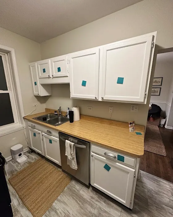 Chicago Custom Kitchens Picture 9