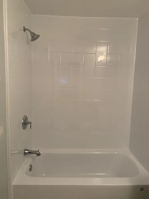 Bath Fitter Picture 2