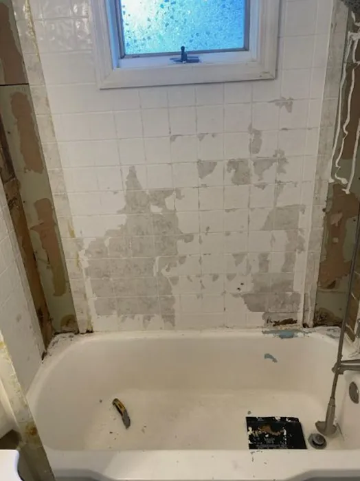 Jack And Jills Reglazing LLC Picture 3