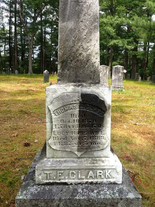 Boston Stone Restoration Picture 3