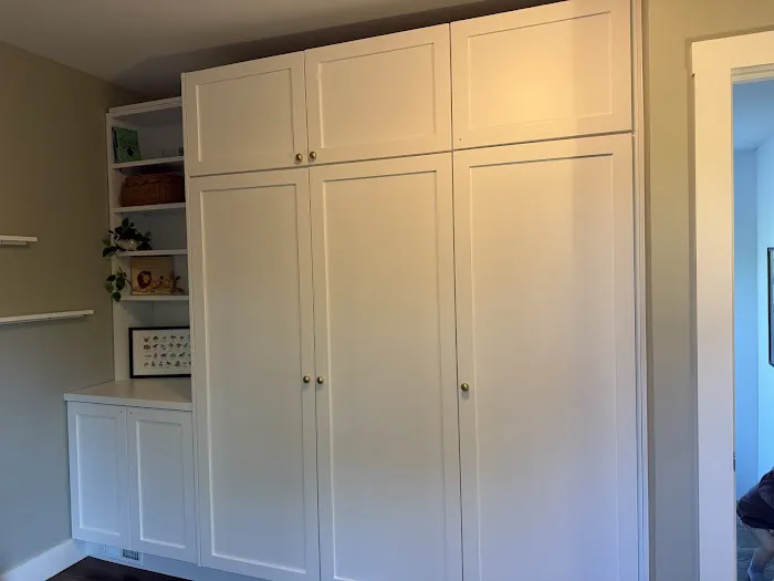Custom Cabinets Chicago Picture 3