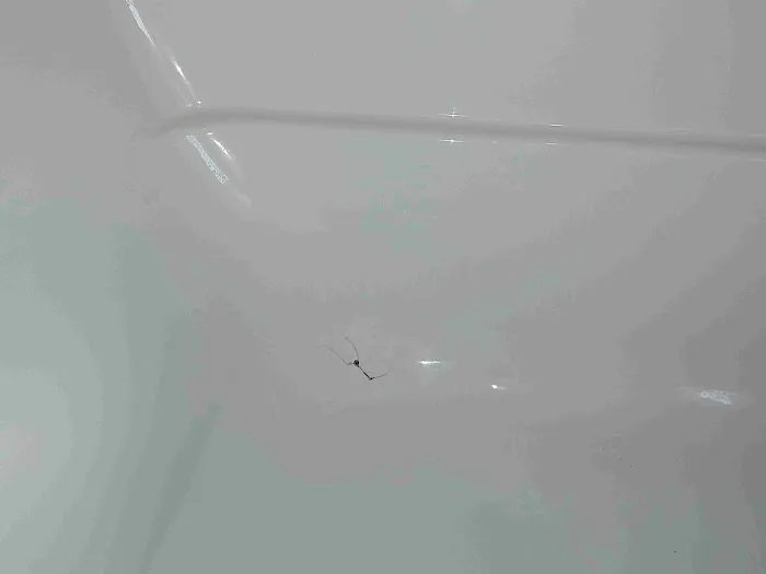 Glas-Tech Picture 7