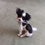 Daigle Plumbing, Heating & Cooling