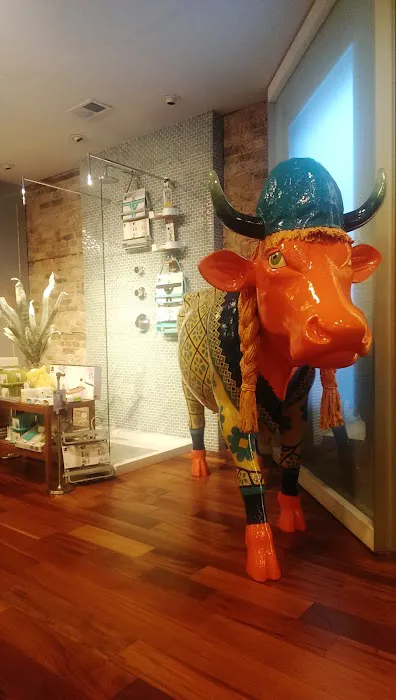Andersonville Kitchen & Bath Showroom Picture 8