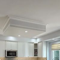 A.L.S Remodeling LLC ico