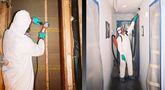 Blue Planet Construction and Environmental Services Picture 7