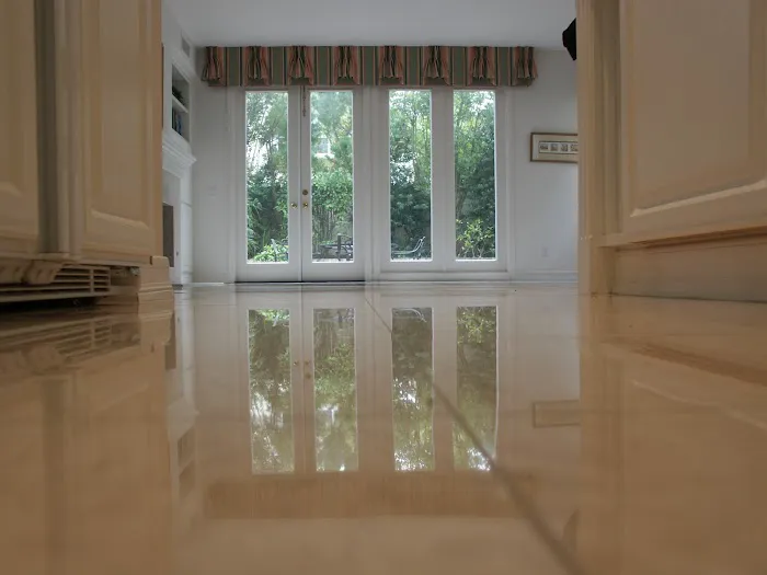 Sureshine Care and Restoration Services, Inc. Picture 10