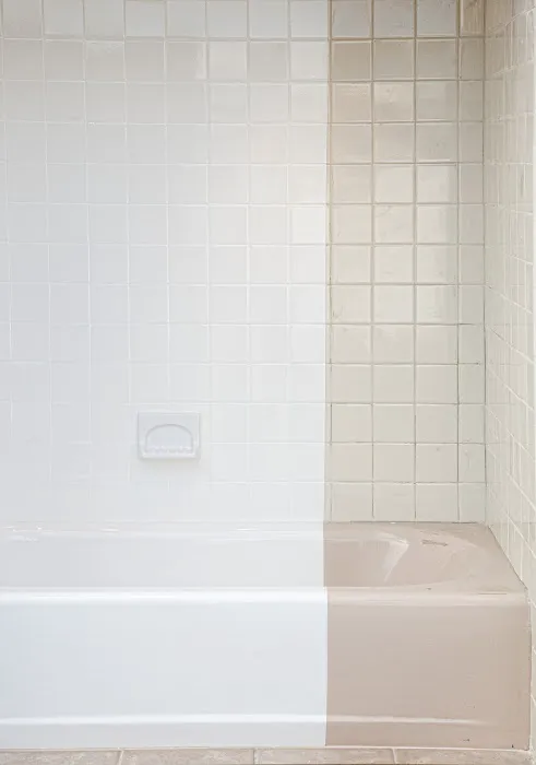 Commercial Bath Refinishing Picture 5