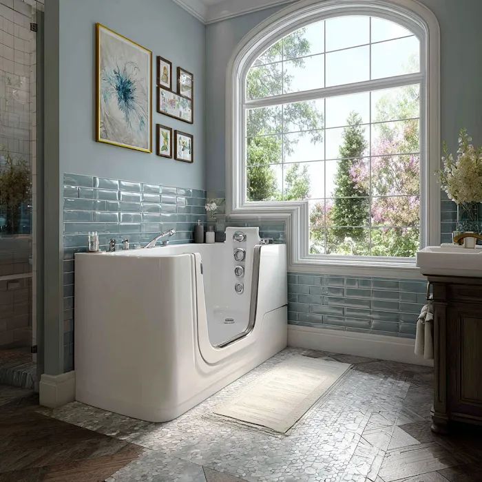 Walk In Tubs Advanced Picture 1