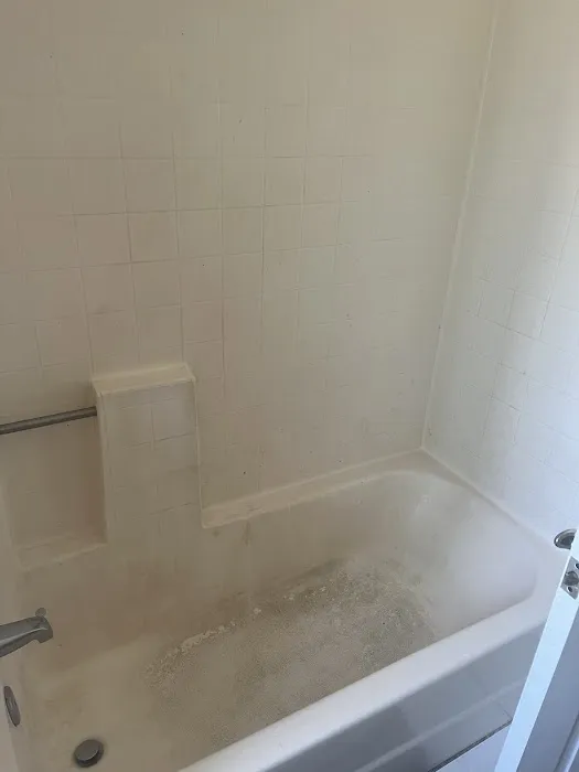 Bath-Brite Picture 2