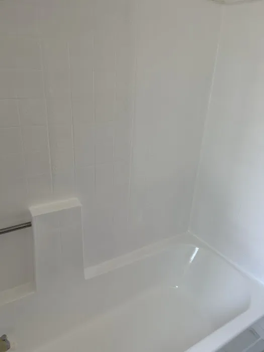 Bath-Brite Picture 4
