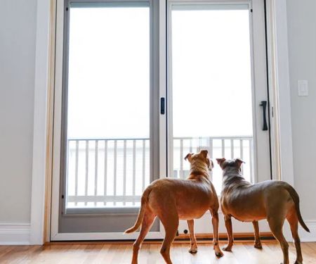 LaPelusa Home Improvement, Inc.