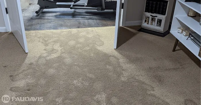 Paul Davis Restoration of San Fernando Valley Picture 4