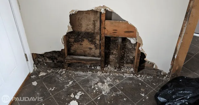 Paul Davis Restoration of San Fernando Valley Picture 7