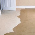 Paul Davis Restoration of San Fernando Valley