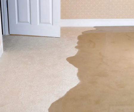 Paul Davis Restoration of San Fernando Valley