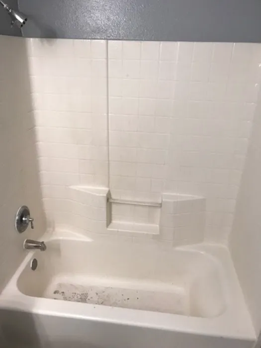 Roger's Tub Refinishing Picture 1