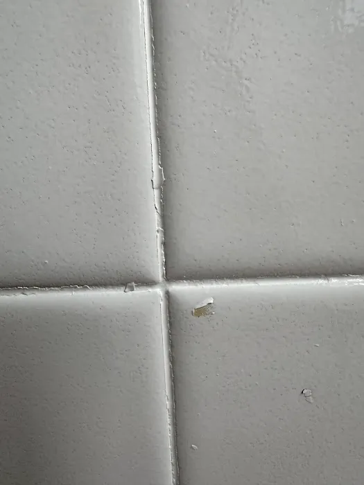 FG Tub & Tile Picture 9