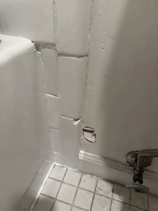 FG Tub & Tile Picture 3