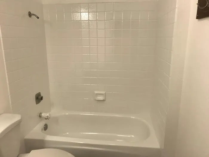 One Day Bathtub Refinishers Picture 4