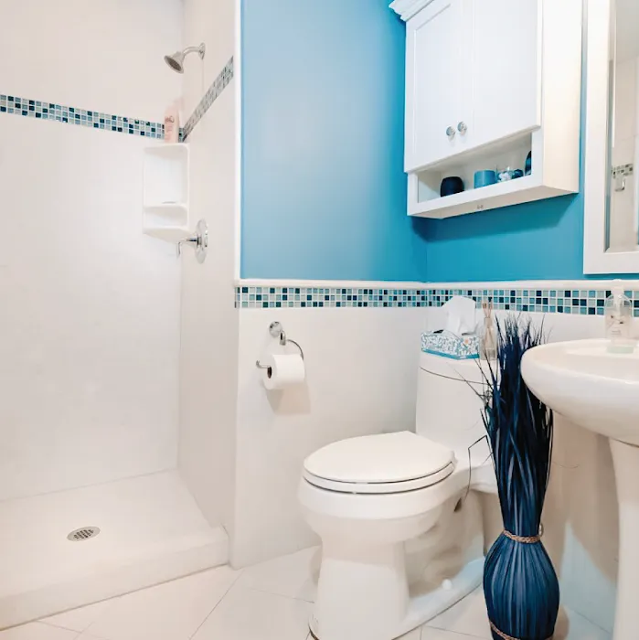 CALbath Renovations Picture 7