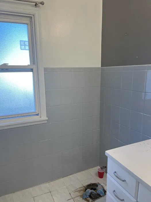White Tub Refinishing Picture 3
