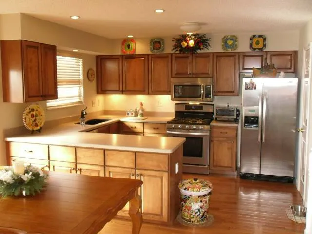 Cabinet Coverup Picture 6