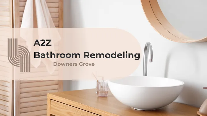 A2Z Bathroom Remodeling Downers Grove Picture 2