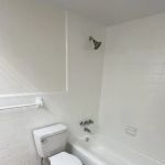 Cjg Paint Refinishing Tub
