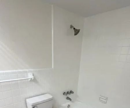 Cjg Paint Refinishing Tub