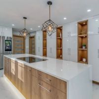 Modern House Chicago ico