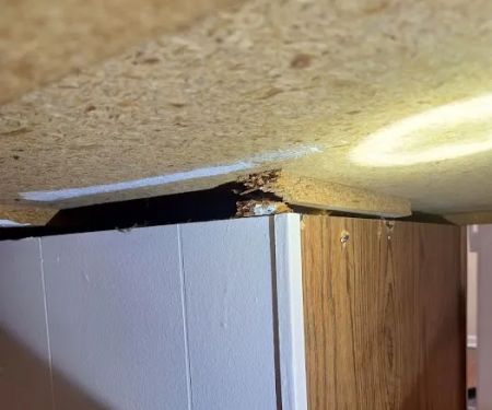 Absolutely Amazing Refinishing